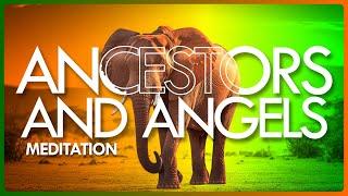 Wisdom from the Ancestral Lineage: Ultimate Ancestors and Angels Meditation | The Reach Approach