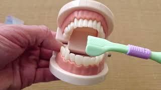 Yalina 3d Toothbrush - Random Rapid Review