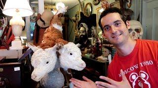 NYC's WEIRDEST Store !  (Obscura Antiques & Oddities)