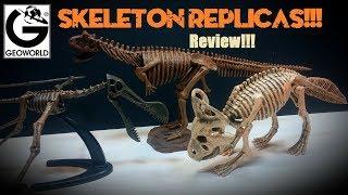 Geoworld Prehistoric Skeleton Replicas!!! Cool eggs too!!!