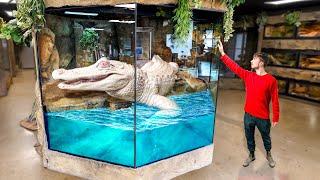 Pure White Alligator Gets New Home!