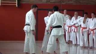 Sensei Naka in Germany -  part one.