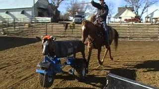 Friday3 heeling roping dummy