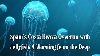 Spain's Costa Brava Overrun with Jellyfish: A Warning from the Deep