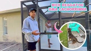 NICK RESGATOU UMA CACHORRINHA QUE ELE ENCONTROU NA RUA E TROUXE PRA CASA