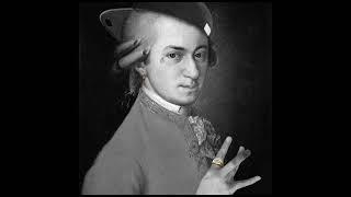 CLASSICAL MUSIC DRILL TYPE BEAT COMPILATION // PART 6 (ft. Mozart, Brahms, Chopin, Saint-Saëns... )