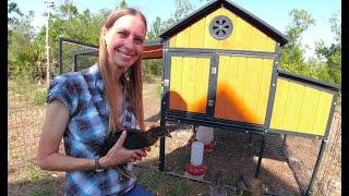 Sentinel Chicken Coop Review from Tractor Supply