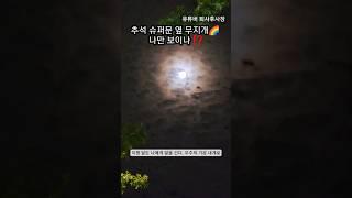 사이비 교준 아닙니다. 슈퍼문도 해님도 나에게 말을 건다. 슈퍼문 옆 무지개까지 나만 보이는게 아니기를 역전세 멘탈회복 프로젝트 유튜버로 돈버는 그날까지 퇴사후사장 #많관부