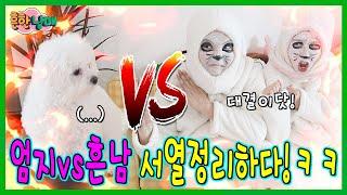 엄지 vs 흔한남매! 서열정리 하기 위해 대판 싸웠습니다