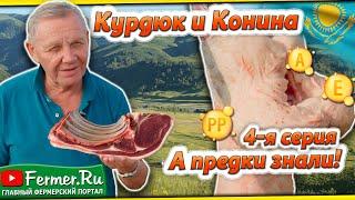 Какое мясо самое полезное? Диеты и вегетарианство это хорошо, или плохо. Мнение академика Синявского