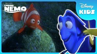  Ocean Adventures with Dory & Marlin! | Finding Nemo | Disney Kids