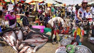 Cambodian Fish Market Tours - Daily Lifestyle & Activities of Vendors Selling Fish & Seafood @Kilo 9