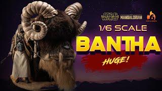 Inbox Studios | 1/6 Bantha | Unboxing and Review | 4K | 60FPS | Star Wars