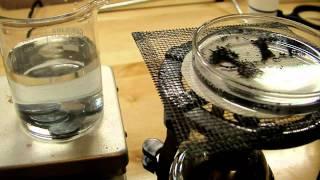 Penny Alchemy
