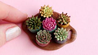 Miniature succulents on a boardPolymer clay