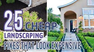 25 Cheap Landscaping Fixes That Look Expensive