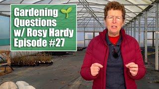 Winter Interest Shrubs for Clay? What Will Replace Peat? | Gardening Questions w/ Rosy Hardy