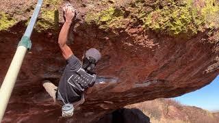 Bambi (v11/12) / Matthew Winters Park