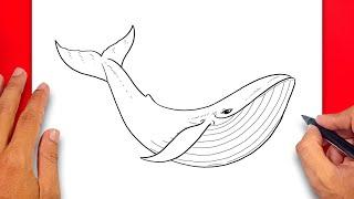 How to draw Whale - Easy Drawing Whale