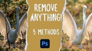 Best Ways to Remove Objects from Photos