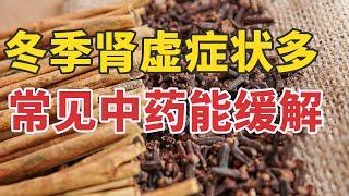 冬季肾虚症状多 常见中药能缓解 20250114 学会搭配来补肾 | CCTV科教《健康之路》