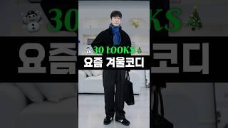 요즘 겨울 코디 30가지! 1분만에 보기