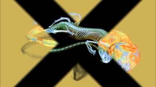 Micro-CT study of the large psammodrom lizard