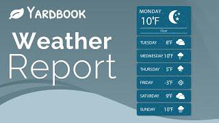 Hourly Weather and Forecast Data