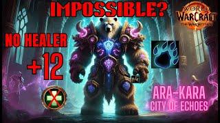 IMPOSSIBLE THEY SAID? +12 NO HEALER Ara-Kara (Guardian Druid POV)