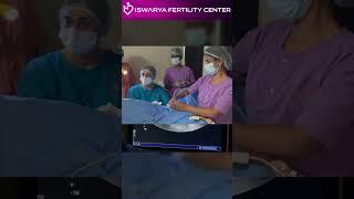 Embryo transfer is a painless and easy procedure