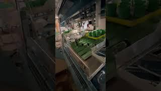 Automatic high speed Sunkist pattern packer #agriculturetechnology #foodindustry #fruitpacking