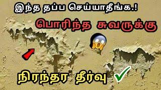 மழையால் சுவர் பொரிந்துள்ளதா ? நீர் கசிவு-சுவரில் ஓதம் பிரச்சனை இனி இல்லை | வந்தாச்சு எளிமையான தீர்வு