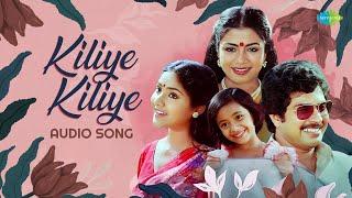 Kiliye Kiliye - Audio Song | Aa Raathri | Ilayaraja | S. Janaki | Poovachal Khader