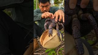 How To Chinese People Hunt And Eat Coconut Crab? By Shiksha SQUARE