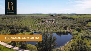 Herdade de 38 hectares com 2 Moradias | REF. FG792