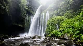 Tropical waterfall