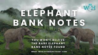 You Won't Believe The Rare Elephant Bank Notes Found - Foreign currency unboxing bundles collection