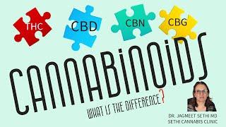 THC vs CBD vs CBN vs CBG in Cannabis.