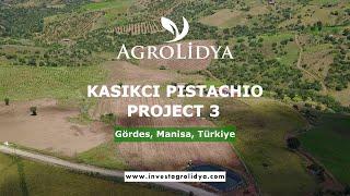 Pistachio Orchard Investment in Türkiye with Agrolidya! (Kaşıkçı Pistachio Project 3)