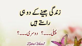 Best Urdu Qoutes | Urdu Islamic Qoutes | Best Qoutes about life | True lines | Motivational Quotes