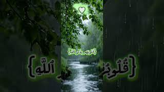 الا بذكر الله تطمئن القلوب(اكتب شيء تؤجر عليه️#quran )
