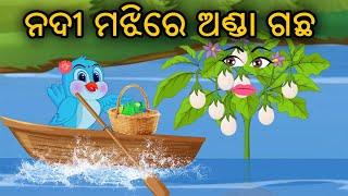 ନଦୀ ମଝିରେ ଅଣ୍ଡା ଗଛ || Birds Cartoon || Odia Birds || Tiki Chadhei Gapo || Zoo Joo TV || Cartoon