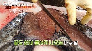 빵빵한 대구 배를 갈랐더니 쏟아져 나온 ‘이것’들! [뉴 코리아 헌터] 82회 20171225