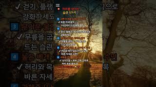  허리를 망치는 습관 5가지 #건강 #허리통증 #디스크예방 #바른자세 #좋은습관