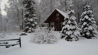 Homestead Life in Alaska ~ Winter Arrives ~ Nordland 49