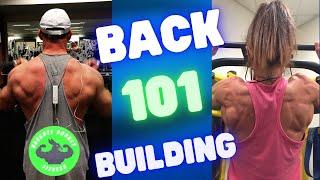 Best back workout for beginners and intermediates