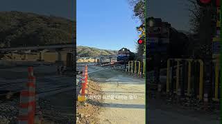 빨리 좀 와라 휴~~#디젤기관차 #railway #무궁화호
