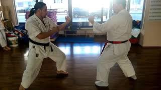 Classical Shotokan Karate-Jutsu