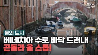 '수상 도시' 베네치아의 수로가 바닥을 드러내고 곤돌라가 영업을 중단했다. / 왓슈 월드