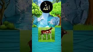 Sub Nabiyo Se Aala️|#vfx #islamicvfx #islamicvideo #viralvideo #shorts #shortsfeed